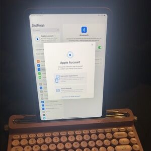 Pink 10th Gen iPad 256GB (WiFi + Cellular)